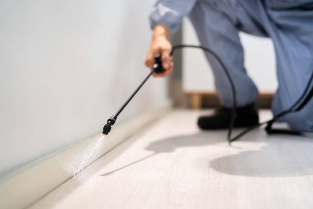 Rodent Entry Point Assessment in Milton-Freewater