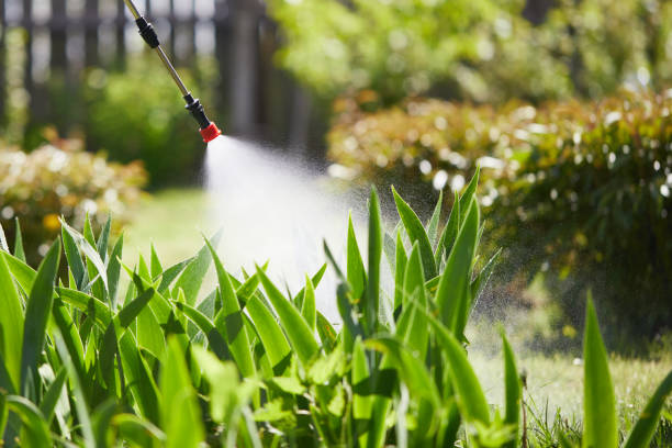 Tamper-Resistant Bait Stations for Rodents in Milton-Freewater