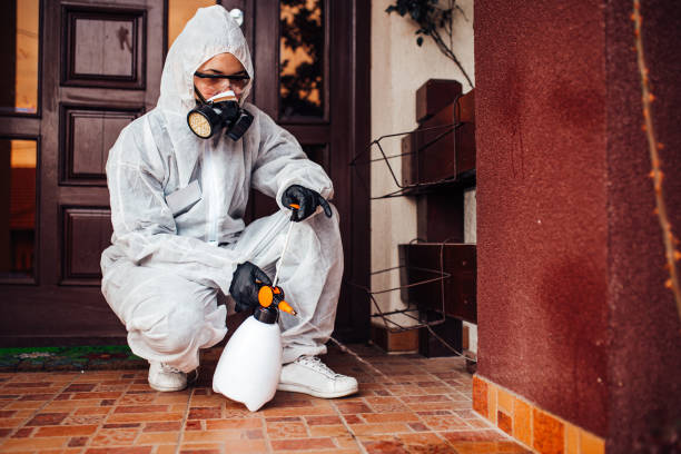Attic and Crawl Space Rodent Treatment in Milton-Freewater
