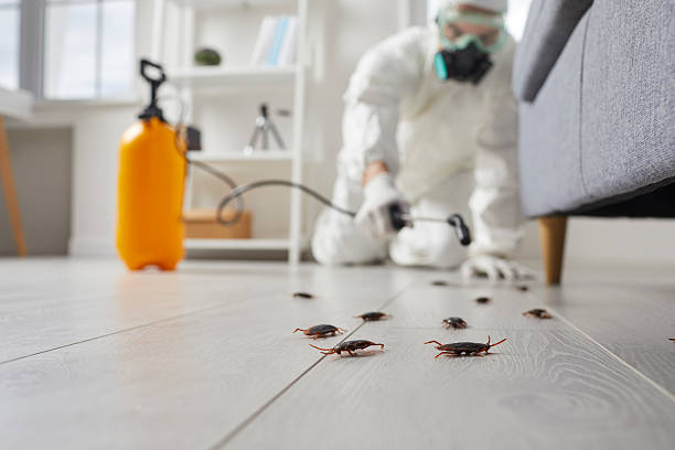 Commercial Rodent Management in Milton-Freewater
